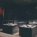 Museu Nacional de Historia Natural e Ciencia_Lisboa-018173.jpg